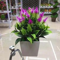 Naujas dirbtinis vazoninis augalas su vazonu Bonsai dirbtinio šilko gėlė vidaus lauko namų sodo biuro dekoravimo augalai ornamentai violetinė