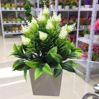 Naujas dirbtinis vazoninis augalas su vazonu Bonsai dirbtinio šilko gėlė vidaus lauko namų sodo biuro dekoravimo augalai ornamentai balta