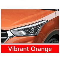 Vandeniui atsparių automobilių dažų remonto rašiklio įbrėžimų taisymo įrankis, skirtas Elantra Tussina Turina Shengda Vibrant Orange black