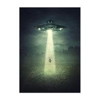 NSO keistai švyti tamsoje Serija TV Filmo Plakatas Ateivių Kosminis Laivas Užfiksuoja Žmones Tyrimų Nuotraukos Sienos Drobės Meno Dekoravimas 30x40cm No Framed gray