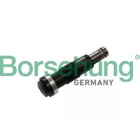 Grandinės pavaros įtempėjas Borsehung B1T028