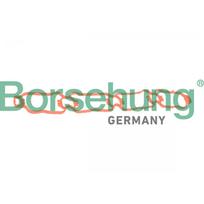 Įsiurbimo kolektoriaus tarpinė Borsehung B13262