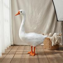 Realistiška žąsies figūrėlė, modelis su tikrais plunksnomis, namų dekoracija fotografams, fotografijai, L gray