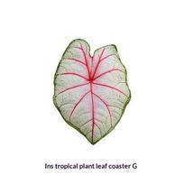 Leaf Coaster Acrylic Heat Insulation Pad Decorative Placemat Table Cup Mat Decoration Desk Accessories Room Decor A982 green