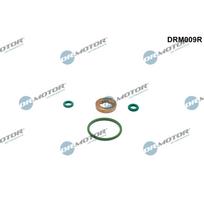 Purkštuko tarpinių rinkinys Dr.Motor Automotive DRM009R