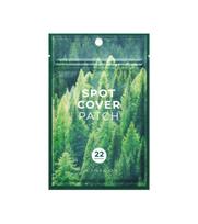 SKIN1004 Spot Cover Patch pleistrai nuo spuogų, 22 vnt.