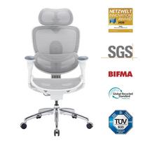 SIHOO Doro C300 Pro V2 Ergonomiška biuro kėdė (be kojų atramos), prisitaikanti viso kūno atrama, 8D porankiai ir kvėpuojantis tinklelis balta