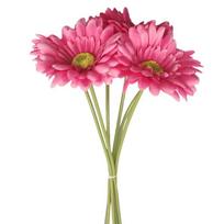 Daugiaspalvės dirbtinės gerberos ramunėlės, netikros afrikietiškos ramunėlės namų vazai ir vestuvių dekoravimui pink