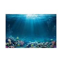 Povandeninio pasaulio fantazijos vandenyno akvariumo teminė fotografija Fono audinio nuotrauka Fono sienų dekoras 150*100cm / 5*3ft