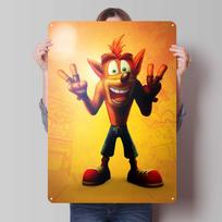 Crash Bandicoot Posters Classic Game Metal Signs Wall Art Mural Custom Tinplate Plaques for Gamers Gaming Room Decoration Retro 20x30cm（7.8x11.8inch）