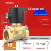 Gryno vario ritė, normaliai uždarytas solenoidinis vožtuvas vandeniui ir orui, galimas AC220V, DC24V ir DC12V įtampomis, įvairių dydžių AC 220V, DN08, 1/4 inch, Brass, Threaded