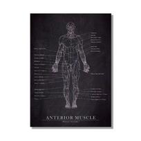 Abstraktaus žmogaus anatomijos meno kūrinys Medicininė tapyba Raumenys Skeletas Švietimas Sienos meno paveikslas Plakatas Drobės tapyba Namų dekoravimui 50x70cm No Framed