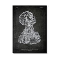 Abstraktaus žmogaus anatomijos meno kūrinys Medicininė tapyba Raumenys Skeletas Švietimas Sienos meno paveikslas Plakatas Drobės tapyba Namų dekoravimui 60x80cm No Framed