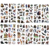 12 lapų/rinkinys 3D dinozaurų lipdukai vaikams žaislai namų sienų dekoras animacinis lipdukas scrapbooking berniukų bloknotas dienoraštis etiketė gray