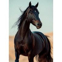 Šiuolaikinės laukinės gamtos pievų bėgančio žirgo fotografijos plakatai spaudiniai drobės tapyba sienos meno paveikslas svetainės namų dekoras 60x90cm No Frame
