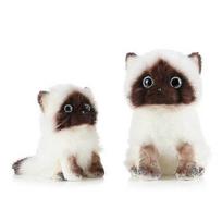 Mielas Ragdoll katės pliušinis žaislas 20cm