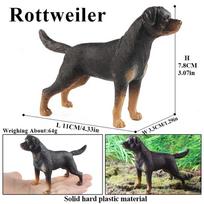 Oenux Šunų Gyvūnų Modelis Husky Pug Pomeranian Rottweiler Chihuahua Veiksmo Figūrėlė Šuniukų Figūrėlės PVC Mielas Kolekcinis Žaislas Vaikų Dovana