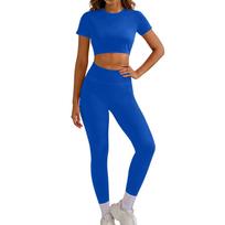 Women Two Piece Seamless Yoga Outfit Short Sleeve Crop Top High Waist Leggings Athletic Workout Set Gym Clothes M mėlyna