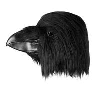 Helovino Varnos Kaukė COS Juokinga Paukščio Erelio Galvos Kaukė Lateksinė Pilno Veido Siaubo Vakarėlio Kostiumo Rekvizitas Crow black