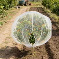 Paukščių tinklas sodo apsaugai Mėlynių krūmai Vaismedžių danga Augalų tinklelis 1x1m