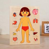 Montessori Puzzles Busy Board Human Body Teaching Learning Body Parts For Children Early Education Games Toddlers Quiet Books orange