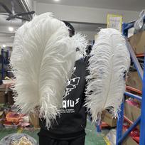10 vnt. Lizdas Persiko rožinės stručio plunksnos Didmeninė prekyba 25-60 cm Natūralios plunksnos Rankdarbiams, vakarėliams, stalo puošmenoms, karnavalui Plumas 25-30cm balta