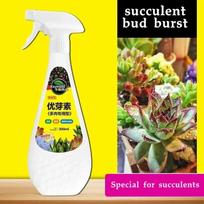 Sultingas augalas Eugenin skatina pumpuravimą, nykštukinis, riebus, apsaugo nuo ištįsimo, organinės granulės, sultingas, ir sultingas 300ml white