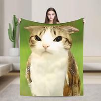 Miau katinas pelėda pliušinis žaislas Gyvūnas_1 antklodė itin minkštos kokybės žiemos antklodė lėktuvas kelionė sofa lova naujiena pledas 75x90cm beige
