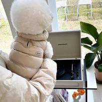 Šilta medvilninė striukė mažiems šunims Jorkšyro terjerams Maltiečiams Specialūs žiemos rudens drabužiai Super miela augintinių apranga Funkcionalus šuns paltas (Beige,Xl back length 40cm (recommended 5-7.5kg )) smėlis