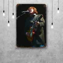 Gary Moore Retro Vintage Skardinis Ženklas Plakatas Dekoratyvinė Plokštelė Metalo Plokštelė Sienų Dekoras 20x30cm（7.8x11.8inch） gray