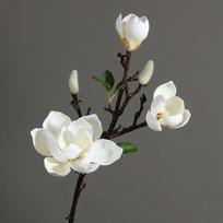 Aukštos kokybės 70 cm magnolijos tikro prisilietimo puokštė gėlių kompozicijoms, 3 galvutės PU dirbtinės gėlės, vestuvių, namų, svetainės dekoras balta