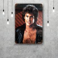 david hasselhoff Metaliniai ženklai sienų dekoras Vintažiniai skardos ženklai Kapitono metalinis plakatas Dekoras barui, užeigai, klubui Sienų dekoracija 30x40cm(11.8x15.7inch)