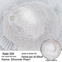 120 spalvų chameleono perlamutriniai žėručio milteliai epoksidinei dervai, dažams ir akvarelei Blue 400 mesh white