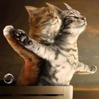 Full 5D Diy Diamond Painting Cartoon titanic cat Embroidery Cross Stitch Home Decor Handmade gift 25x25cm beige