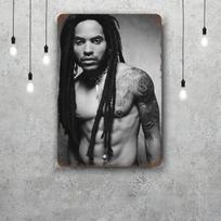 lenny kravitz Dekoras Vintažiniai Metaliniai Ženklai Skardiniai Ženklai Kapitonų Plakatas Dekoras Barui Aludinei Klubui Vyriškas Urvelis Sienų Dekoras 30x40cm(11.8x15.7inch)