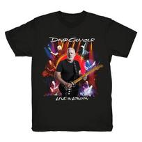 David Gilmour David Gilmour Britų muzikantas Rokenas Amerikietiškas prekės ženklas Medvilniniai trumparankoviai marškinėliai Patogūs ir pralaidūs orui S brown