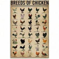 Vintažinis geležinis vištų veislių metalinis skardinis plakatas Rustic Poultry sienos menas sodybos virtuvei namų dekoravimui 20x30cm（7.8x11.8inch） beige