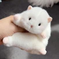 Kawaii Pūkuotas Žiurkėnas Pliušinis Raktų Pakabukas Mini Animacinis Įdarytas Augintinis Pakabukas Kuprinės Dekoracija Vaikams Šventės Dovana no clothes balta