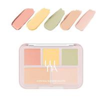 [LUNA] Conceal Blender paletė 6g 05 Tone Reset Cover