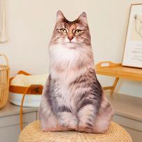 Mieli Realistiški 3D Katės Pliušiniai Žaislai Iškamša Minkštas Gyvūnas Lėlė Simuliacija Miego Pagalvė Sofa Pagalvėlė Animacinis Lėlė Namų Dekoracija Dovana 48cm beige