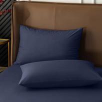 2025 m. vandeniui atsparus čiužinio užvalkalas, vientisos spalvos lovatiesė, priglundantis čiužinio užvalkalas, apsaugantis nuo dulkių, pralaidus orui, skalbiamas, šlapimo nelaikymo paklodė only 2 pillowcases blue