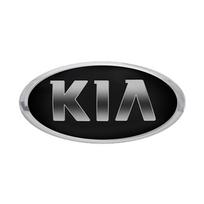 Automobilio priekinio variklio dangčio emblema Ženklelis Lipdukas Priedai KIA Sportage Ceed Sorento Cerato Optima Picanto Rio Soul k3 k5 KX1 K4 KN K6 15cm x 7.5cm