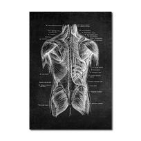 Žmogaus anatomija Meno kūriniai Sienos paveikslėlis Organas Raumenys Skeletas Šiaurės šalių drobės Spaudinys Vintažinis plakatas Menas Tapyba Medicinos klinikos dekoras 40x60cm No Frame