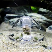 6/8 cm Akvariumo Žuvų Augalų Bakas Plastikinis Skaidrus Sraigių Gaudyklė Gaudo Augalus Planarinį Kenkėją Gaudymo Dėžutė Aplinkos Valymo Įrankis 8 CM gray
