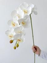 Tikro lietimo dirbtinės orchidėjos gėlės, 9 žiedų baltos Phalaenopsis, ilgu kotu geltonos dirbtinės orchidėjos, namų, vestuvių stalo puošybai white
