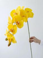 Tikro lietimo dirbtinės orchidėjos gėlės, 9 žiedų baltos Phalaenopsis, ilgu kotu geltonos dirbtinės orchidėjos, namų, vestuvių stalo puošybai