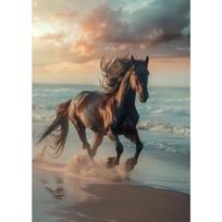 Gražaus žirgo laukinio gyvūno plakatas Žirgų portretinė fotografija drobės tapyba Modernus sienos menas svetainei namų dekoravimui freska 21X30cm Unframed black