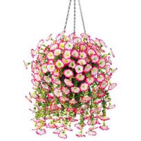 Atspari UV spinduliams Dirbtinių Petunijų Kabantis Kompozicija Lauko Dekoracijoms 3pcs rožinė