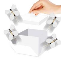 Mother's Day Gift Box Butterfly Explosion Box, DIY Surprise Exploding Present Holder with 4 for Birthday Flying Butterflies Birthday, Anniversary, E