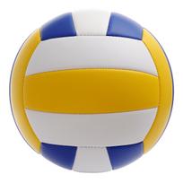 Standard Size 4 & 5 Volleyball for Primary & Middle School Boys and Girls